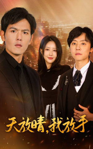 【天放晴，我放手】35集免费短剧高清在线览