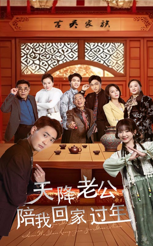 【天降老公陪我回家过年】60集短剧免费在线品看