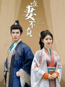 【唯妻不负】80集短剧全辑网盘免费看