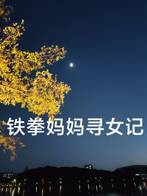 【铁拳妈妈寻女记】69集短剧免费在线完整看