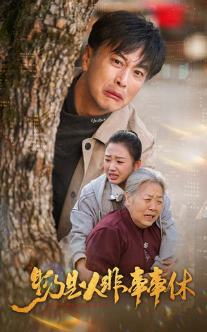 【物是人非事事休】41集短剧在线免费速看