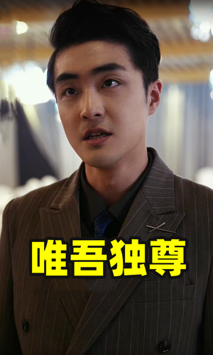 【唯吾独尊】96集免费短剧在线全览观看