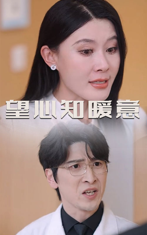 【望心知暖意】31集短剧在线看免费全