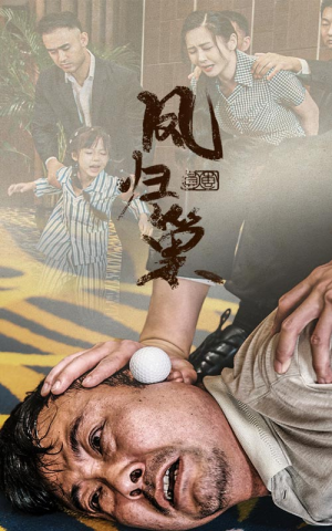 【新版：凤归巢】68集短剧免费全集赏览