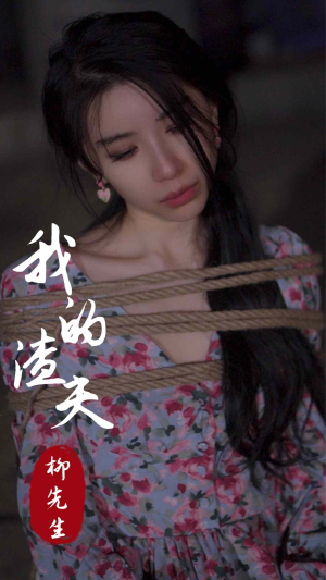 【我的渣夫柳先生】80集免费看短剧完整版