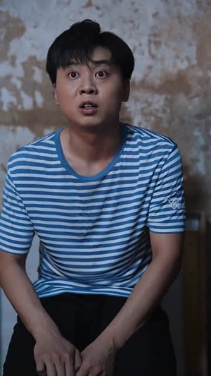 【晚风吹北城】66集短剧免费在线观享