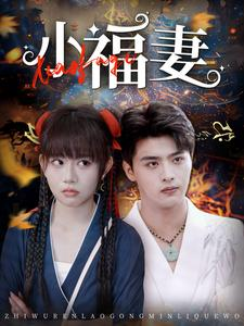 【小福妻】62集免费短剧在线随心看