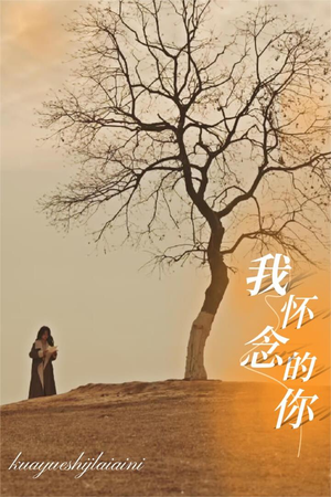 【我怀念的你】38集短剧免费在线赏映