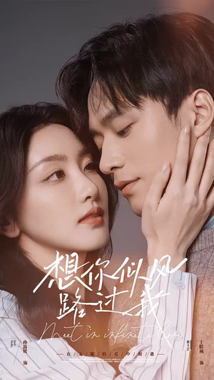 【想你似风路过我】40集短剧在线免费尽情看