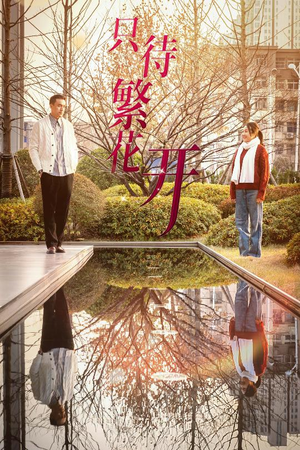 【只待繁花开】35集免费短剧在线完整观看