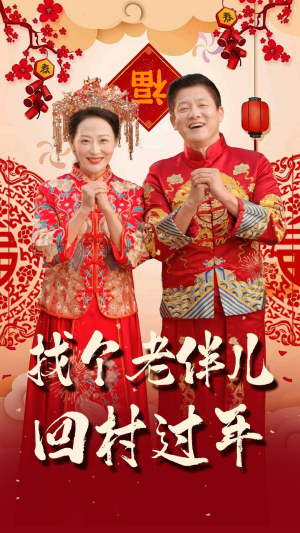 【找个老伴儿回村过年】58集免费短剧在线赏玩