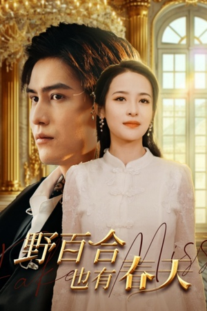 【野百合也有春天】85集在线短剧全集免费观赏