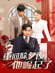 【重回除夕夜他崛起了】89集短剧全集免费在线观看