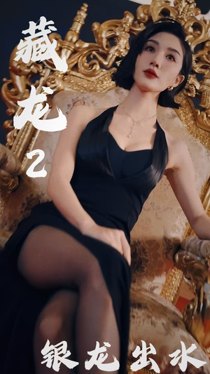 【藏龙2银龙出水】35集短剧免费全集畅享观看