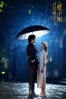 【又见面了楼小姐】68集短剧免费在线阅