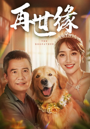 【再世缘】41集短剧免费在线全集观