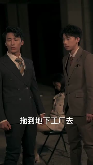 【揽月拂南洲】49集短剧免费全集线上览