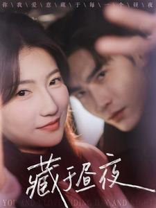 【藏于昼夜】68集免费短剧在线速看