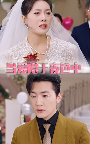 【当爱隐于夜色中】37集免费短剧全集速看