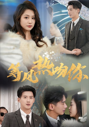 等风热吻你（31集）精彩不断免费看