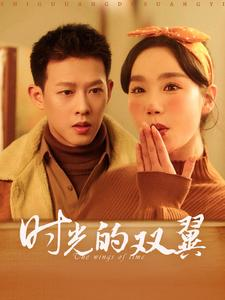 【时光的双翼】94集短剧全集在线览看