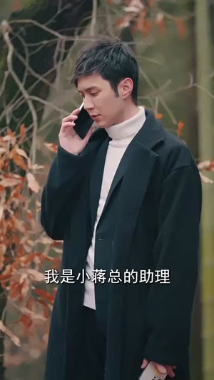 【引凤还巢】100集免费短剧完整版观看