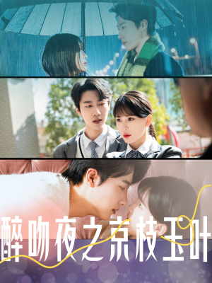 【醉吻夜之京枝玉叶】90集短剧在线观看全集免费