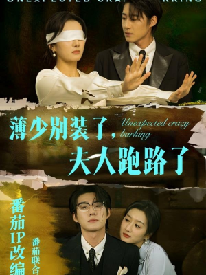 【薄少别装了夫人跑路了】60集短剧夸克网盘免费看