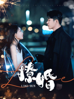 【撩婚】90集免费短剧高清在线速看