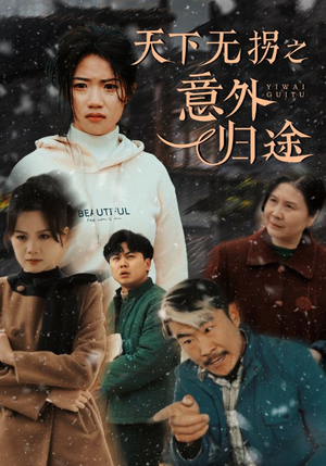 【天下无拐之意外归途】61集短剧免费在线全览