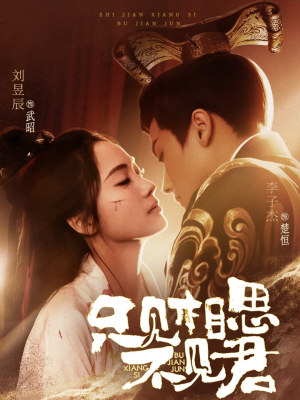 【只见相思不见君】82集高清短剧免费在线观看