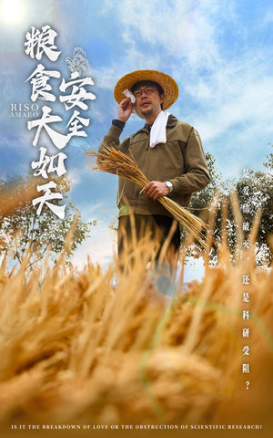 【粮食安全大如天】43集短剧免费全集尽情观