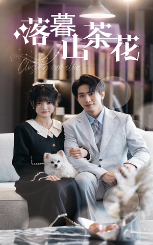 【落幕山茶花】50集免费短剧在线直看