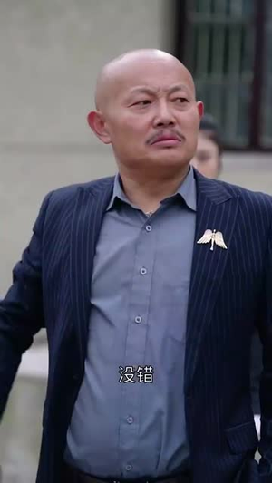 【养儿防老积谷防饥】31集短剧全集免费在线观