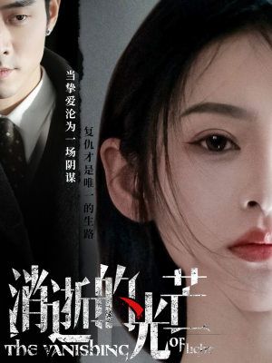 【消逝的光芒】55集短剧免费在线完整观看