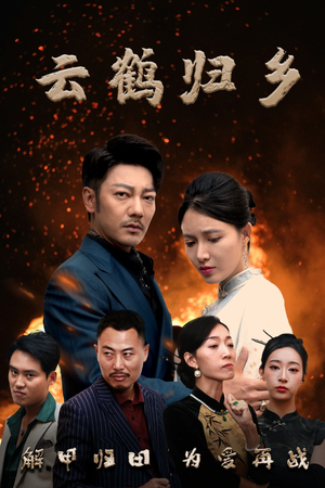 云鹤归乡（65集） 高质量短剧推荐