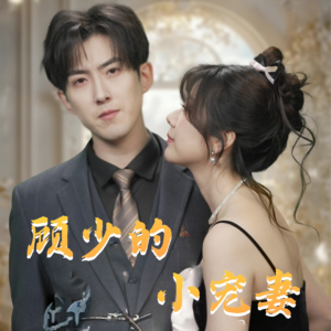 【顾少的小宠妻】90集短剧全集免费在线赏