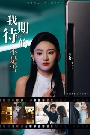 【我期待的不是雪】30集短剧在线免费随心观