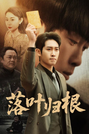 【认祖归宗】35集高清短剧在线快看