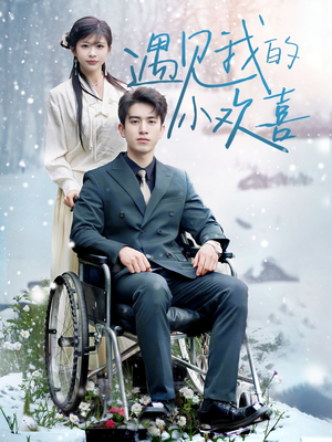 【遇见我的小欢喜】70集短剧免费全集欢看