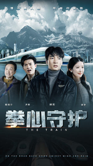 【拳心守护】28集短剧免费完整观看