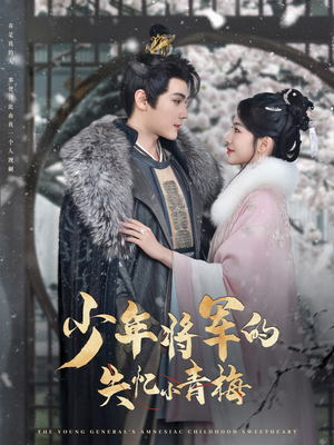 【少年将军的失忆小青梅】100集短剧在线看全集不卡顿