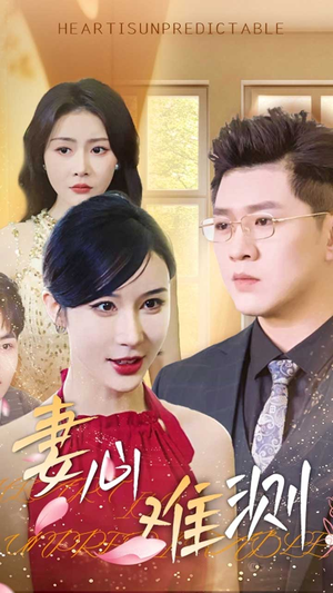 【妻心难测】33集免费在线看短剧全集版