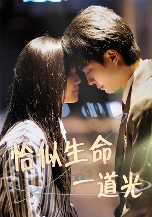 【恰似生命一道光】60集短剧免费在线直看