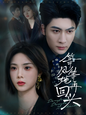 【等风等她再回头】80集免费短剧在线速看