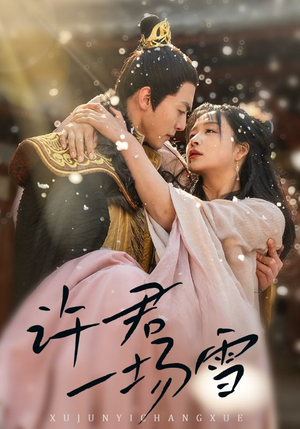 【许君一场雪】43集线上短剧免费全集看