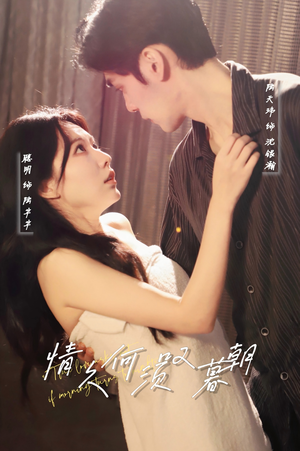 【情久何须叹暮朝】61集短剧全集免费观看