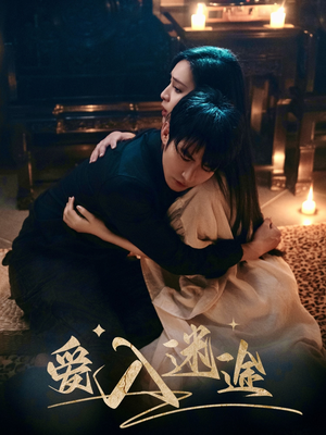 【爱入迷途】67集在线短剧完整版免费看