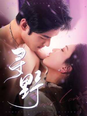 【寻野】100集短剧网盘免费在线看