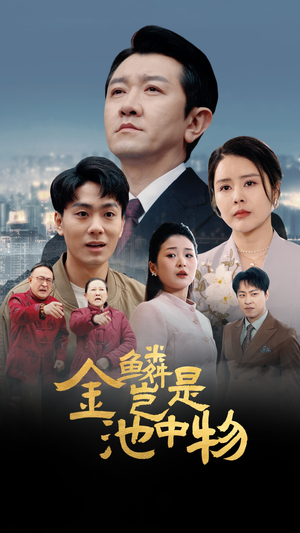 【金鳞岂是池中物】61集短剧免费在线观映